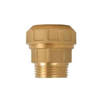 EasyFit Brass Polypipes Compression Male Straight