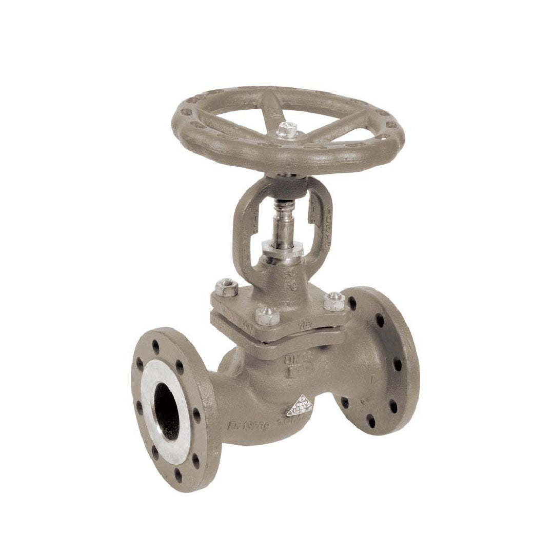 Cast Iron Flange Globe Valve