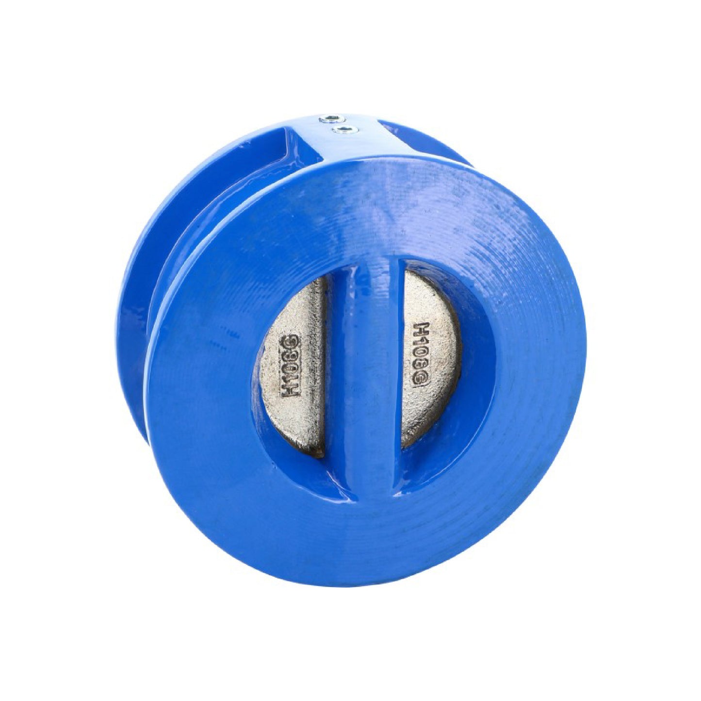 Cast Iron & Inox Dual Check Valve